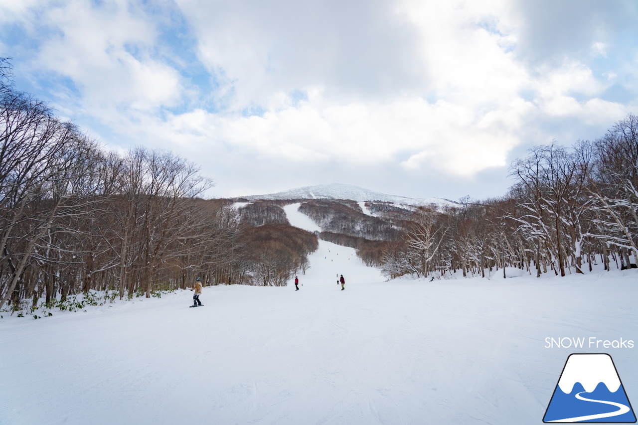 IWANAI RESORT ＆ ニセコの里山｜混雑知らず？！素晴らしい雪質と景色が待つ、ニセコエリアの穴場的スキー場！